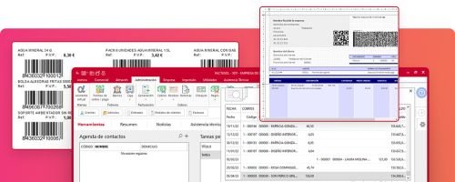 Curso Práctico de FactuSOL